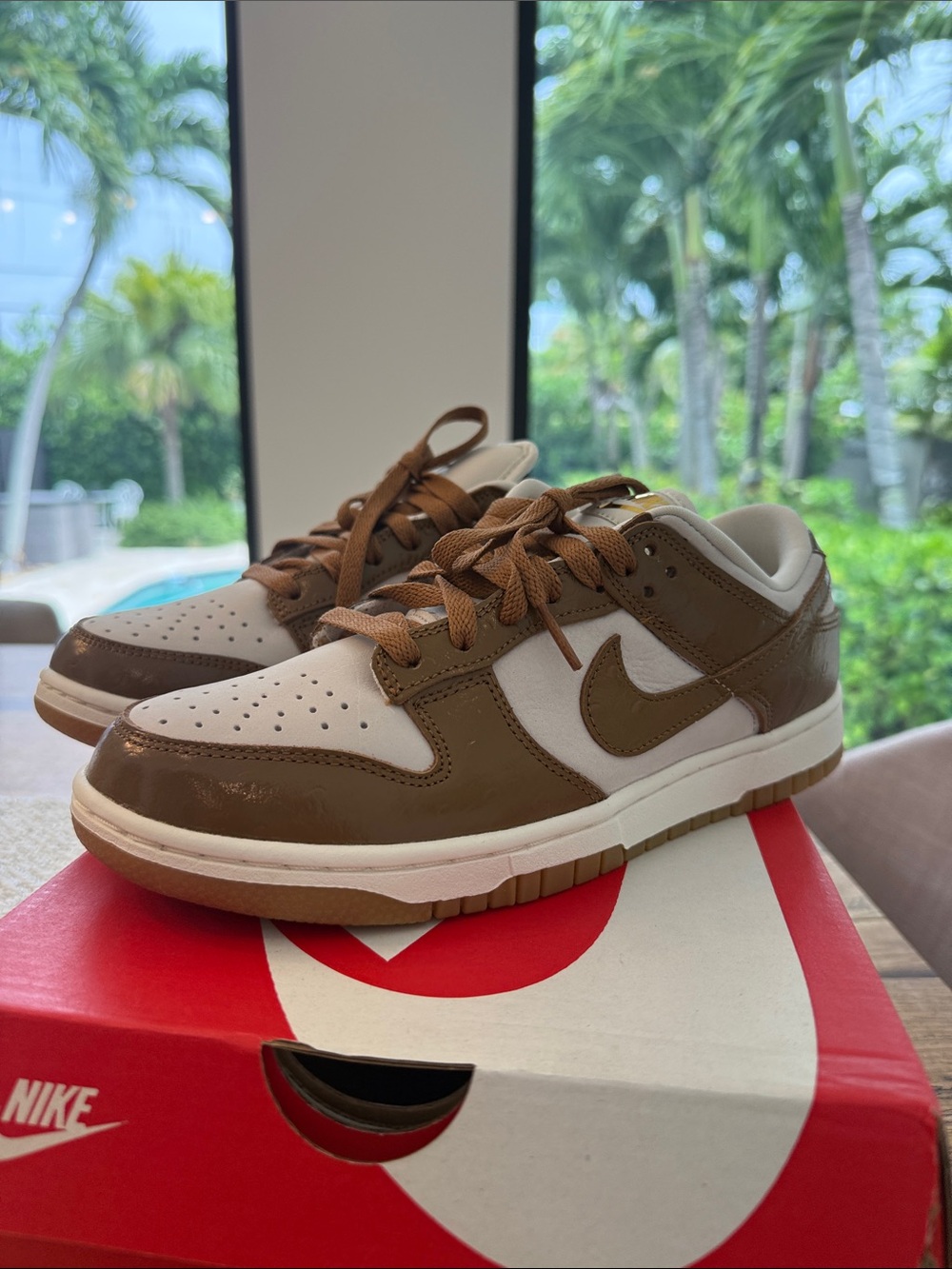 Nike Low-Top Dunk Sneakers in Brown and White